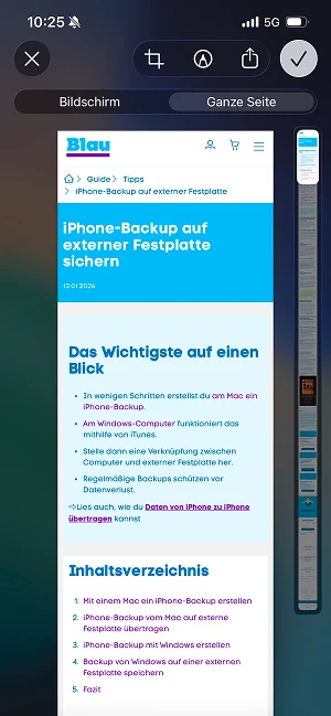  Reiter „Ganze Seite“
