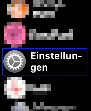 Screenshot Einstellungen Apple Watch