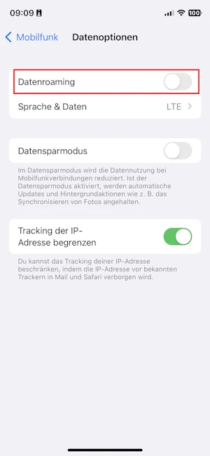 iPhone Datenoptionen