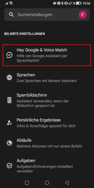 „Hey Google & Voice Match“-Button