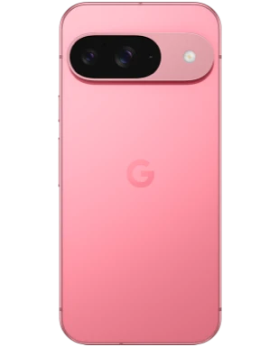 Google Pixel 9 Kamera Rückseite