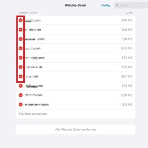 Screenshot der „Website-Daten“ in den Einstellungen von „Safari“ mit Markierung von Cookies