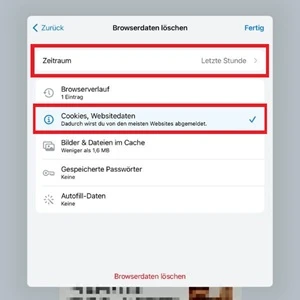 Screenshot von „Browserdaten löschen“ in der Google-Chrome-App mit Markierung von „Zeitraum“ und „Cookies, Websitedaten“