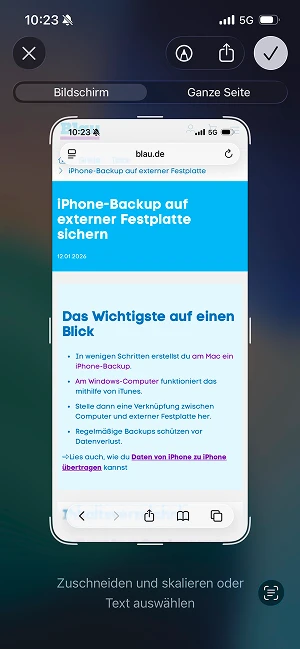  Ansicht „Bildschirm“ oder „Ganze Seite“
