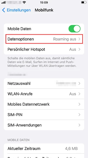  „Datenoptionen“-Button in den iPhone-Mobilfunkeinstellungen
